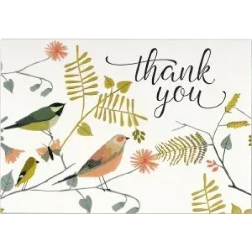 SONGBIRDS BOXED NOTES