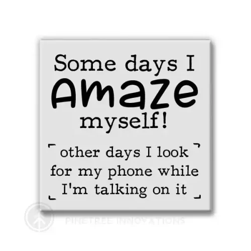 Some Days I Amaze Myself Magnet