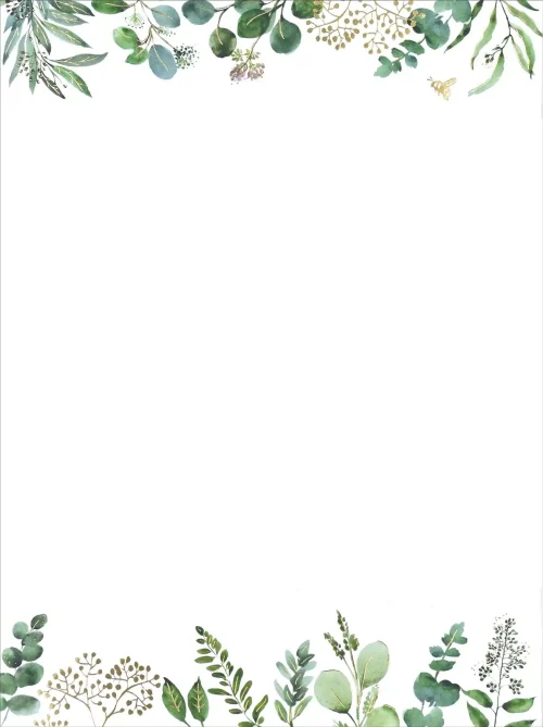 Eucalyptus Boxed Stationary Set