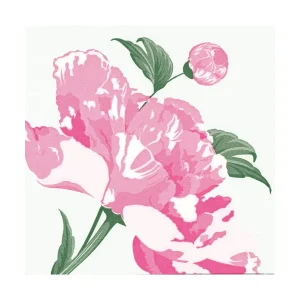Pivione Blanc Paviot Dinner Napkins