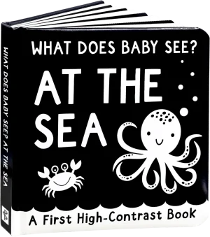 What Does Baby See? At the Sea Board Book