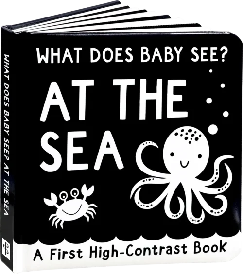 What Does Baby See? At the Sea Board Book