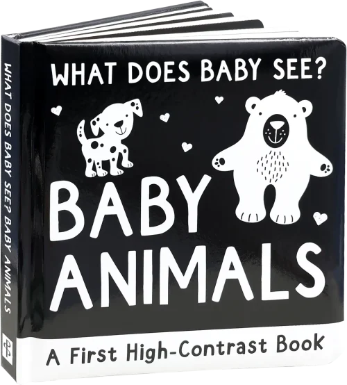 What Does Baby See? Baby Book