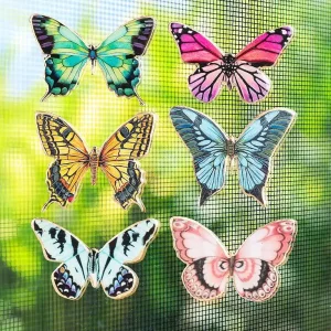 Butterfly Two Sided Magnet Decor