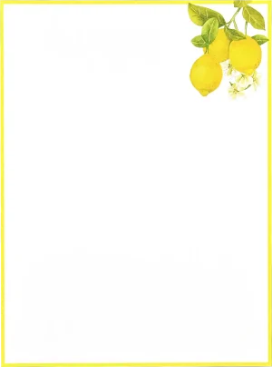 Amalfi Lemons Boxed Stationary