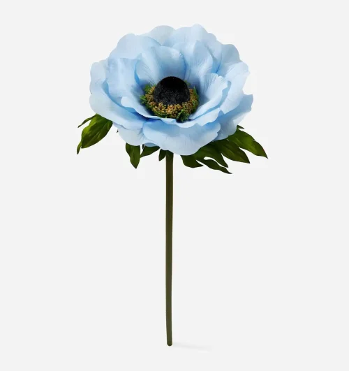 Light Blue Anemone Flower