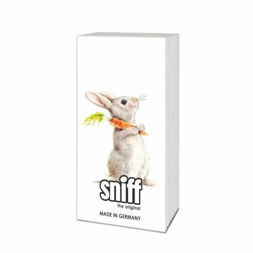 Rabbit with Carrot Sniffs Tissues